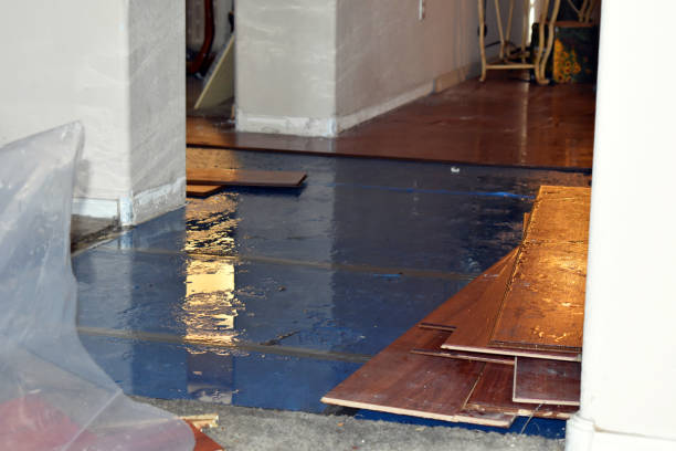 Professional Water Damage Restoration technician working in New Lexington, OH